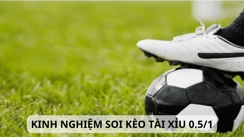 Kinh nghiệm soi kèo tài xỉu 0.5/1